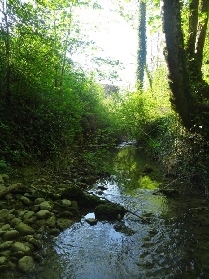 La Chambre Des Carrelets Montigny-sur-l'Ain Zewnętrze zdjęcie